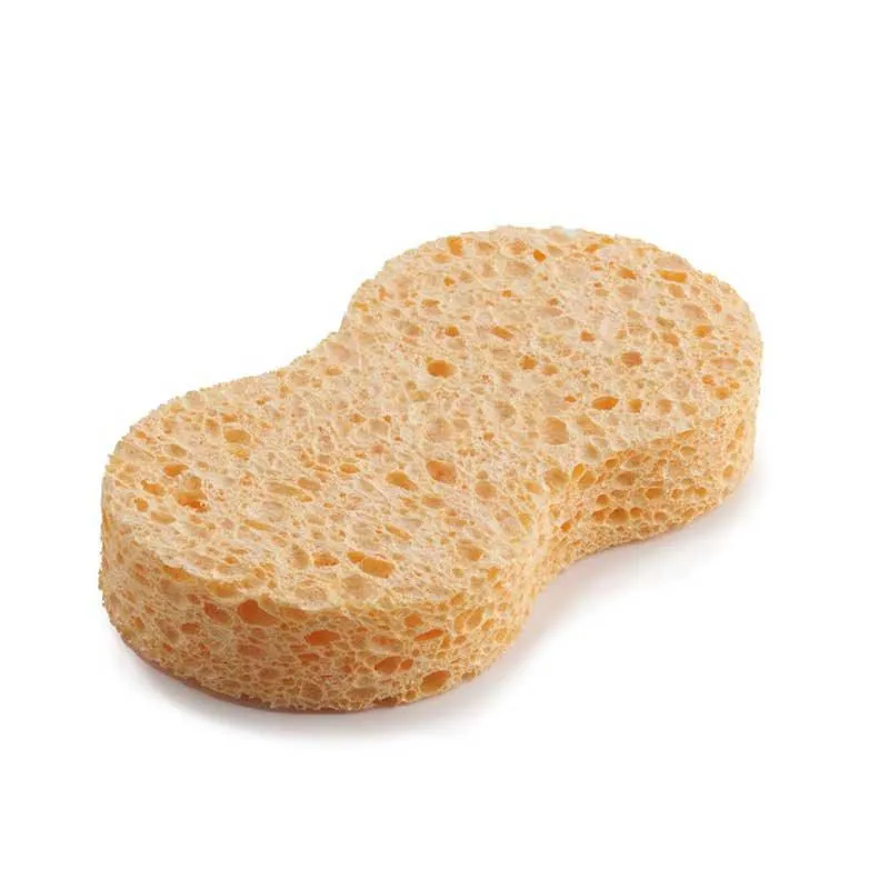 Compostable Car Wash Sponge