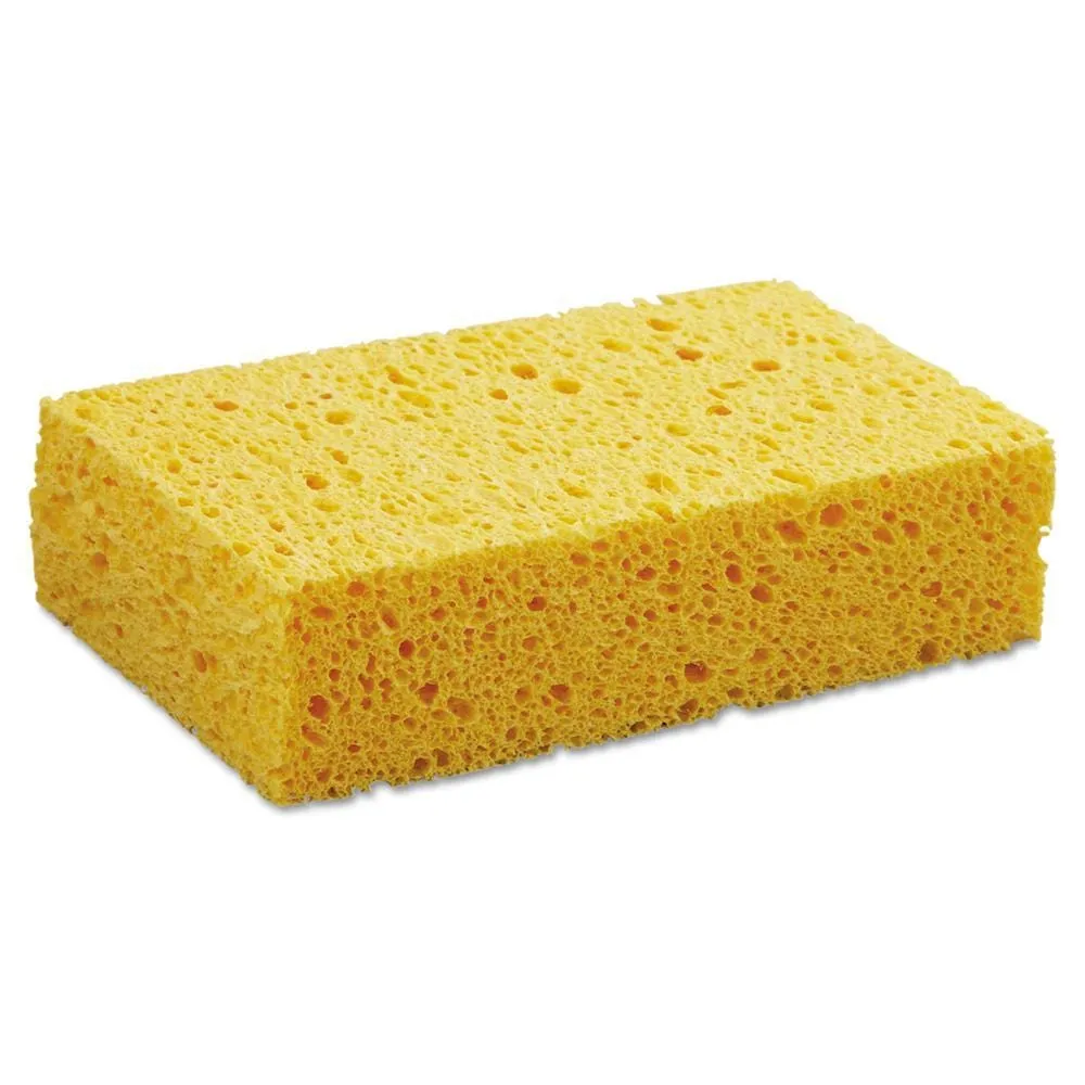 Compostable Household Sponge