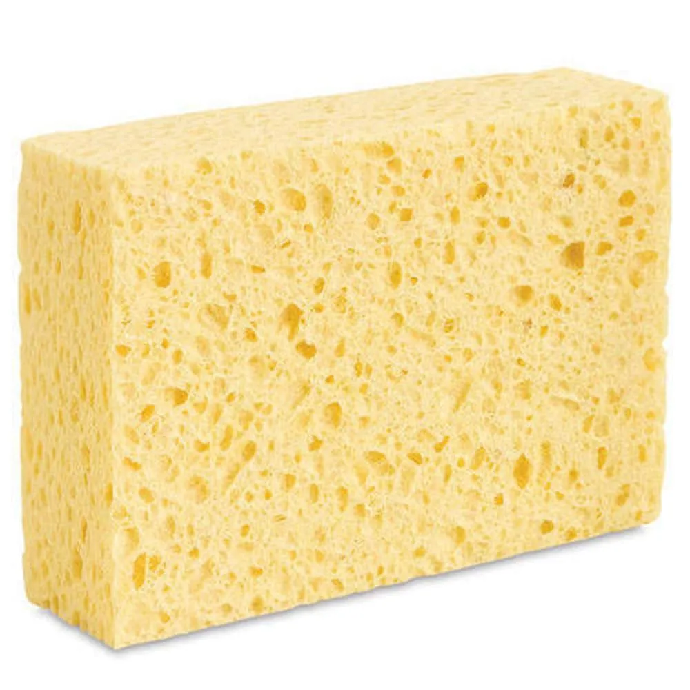 Compostable Household Sponge