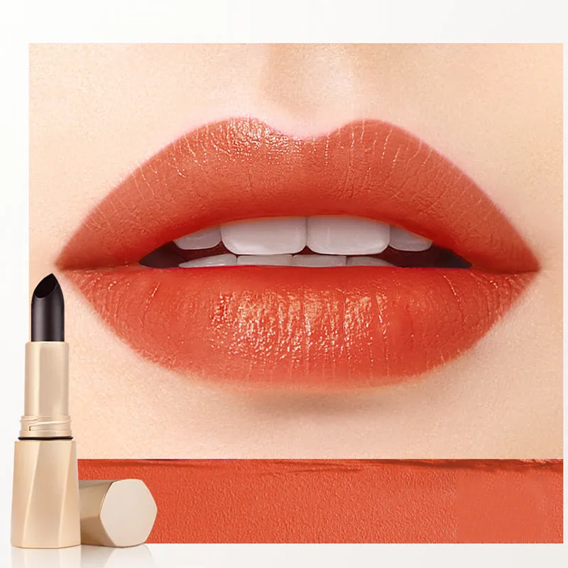 🎉Hot Sale 50% OFF🎉Multi-Functional Long-Lasting Color Lipstick