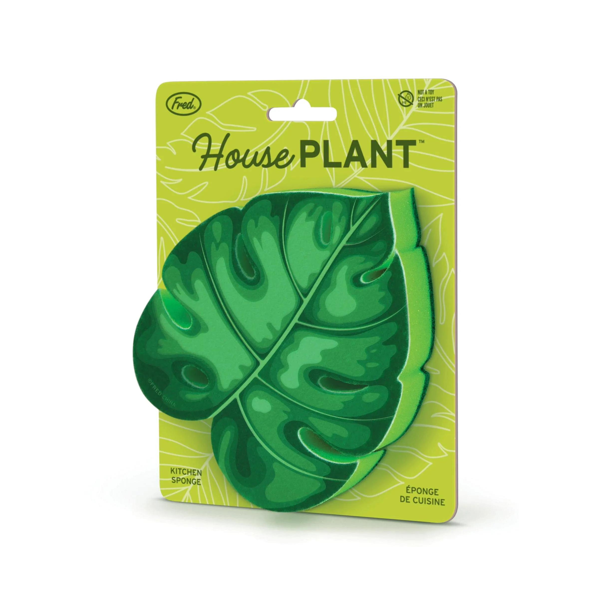 HOUSE PLANT