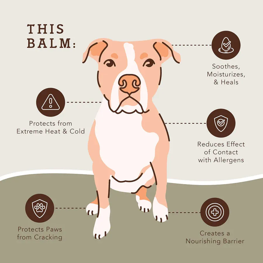 Natural Dog Company Pawtector-Holistic Dog Balm